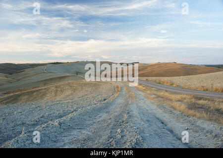 Weiße Straße in der Nähe von San Quirico d'Orcia, Val d'Orcia, Toskana, Italien Stockfoto