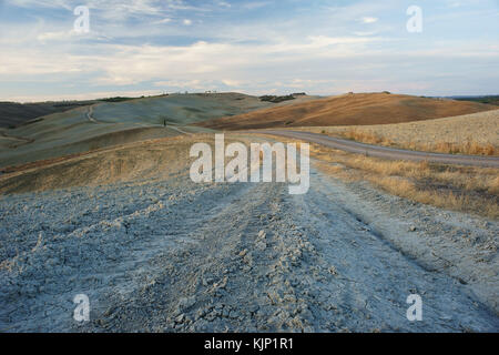 Weiße Straße in der Nähe von San Quirico d'Orcia, Val d'Orcia, Toskana, Italien Stockfoto