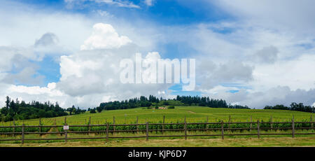 Oregon wine country, Dundee Hügel Stockfoto