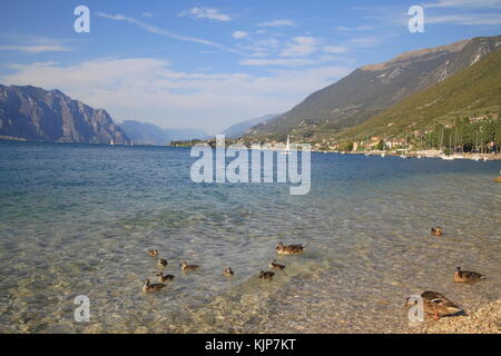 Vom Meer Bild einer Stadt am Gardasee. Stockfoto