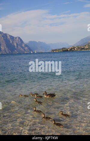 Vom Meer Bild einer Stadt am Gardasee. Stockfoto