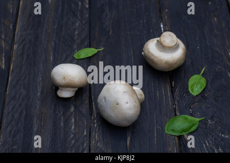 Eine Komposition von drei Pilze und Basilikum auf einem dunklen Hintergrund. Stockfoto