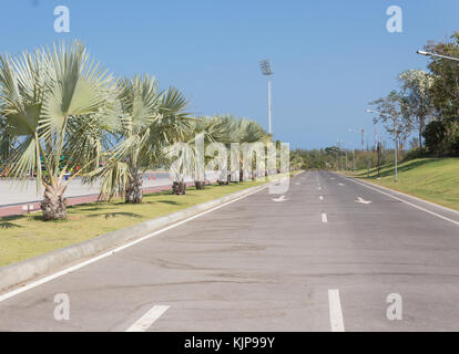 Straße in Thailand Palm von grünen Bäumen an den Weg. (Straße Reisen hua Park Royal treu) Stockfoto