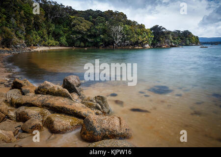 West End Strand, ulva Island, Stewart Island, Neuseeland Stockfoto