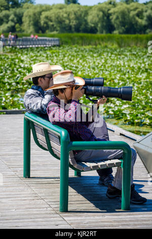 Zwei Fotografen (ein Paar) unter Vogel Fotos mit langen Objektiven bei Point Pelee National Park Boardwalk, Ontario, Kanada. Stockfoto