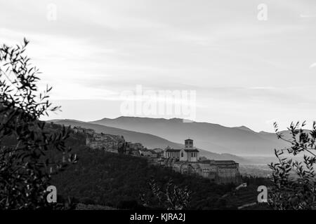 Schöne und Ungewöhnliche Blick auf Assisi (Umbrien) in der Dämmerung, mit etwas unscharf Olivenbäumen framing das Bild Stockfoto