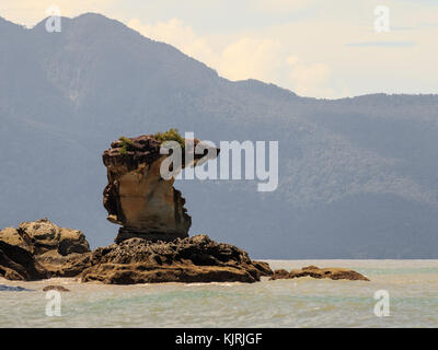 Cobrahead Meeresstapel im Bako National Park, berühmte Klippe auf Borneo in Malaysia Stockfoto