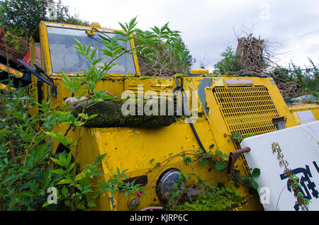 Ein schrottplatz, die speziell Fahrzeuge gilt für Schrott und Teile des Fahrzeugs vollständig gewachsen und verlassenen Fahrzeugen gebrochen. Stockfoto