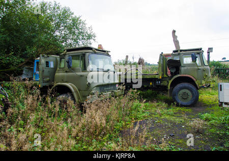 Ein schrottplatz, die speziell Fahrzeuge gilt für Schrott und Teile des Fahrzeugs vollständig gewachsen und verlassenen Fahrzeugen gebrochen. Stockfoto