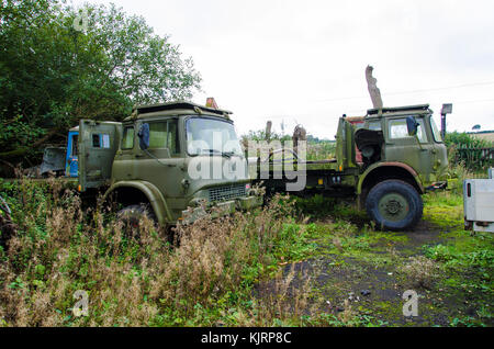 Ein schrottplatz, die speziell Fahrzeuge gilt für Schrott und Teile des Fahrzeugs vollständig gewachsen und verlassenen Fahrzeugen gebrochen. Stockfoto