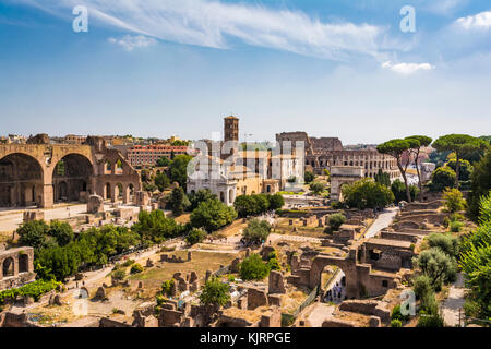 Panoramablick auf das Kolosseum (Kolosseum und Forum Romanum von Palatinhügel, Rom, Italien. Das Forum Romanum, eine der touristischen Attraktionen von Ro Stockfoto