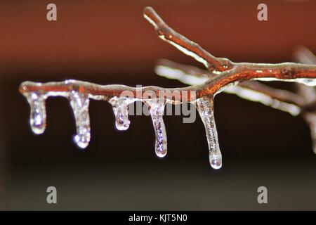 Filigrane Muster und Formen entwickeln, wie eine strenge Winter Ice Storm rollt über Saint Louis, Missouri, USA. Stockfoto