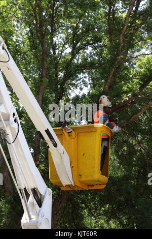 Johannesburg, Südafrika - Unbekannter Arbeiter Verkleidungen Bäume mit Hilfe einer Säge von einer Antenne Plattform im Hochformat Stockfoto