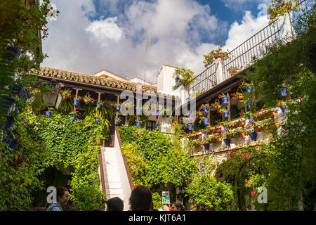 Innenhof, Barrio de San Basilio Viertel, Córdoba, Andalusien, Spanien Stockfoto