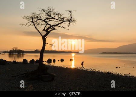 Loch Lomond - junge Mädchen Paddeln in Loch Lomond Stockfoto