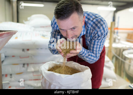 Geschäftsinhaber riechen frisch gerösteten Kaffeebohnen Stockfoto