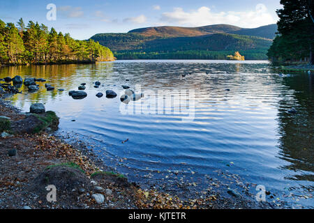 Loch ein Eilein, Rothiemurchus, Cairngorms, Scottish Highlands, Herbst, die Insel mit Burgruine in der Ferne leuchtet durch Sonnenlicht. Stockfoto