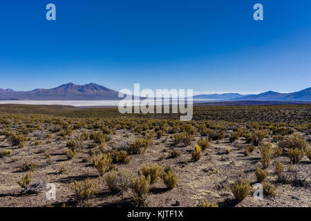 Foto im August 2017 im Altiplano Bolivien, Südamerika: Blick über den Altiplano Peru Wüste Salar de Uyuni genommen Stockfoto