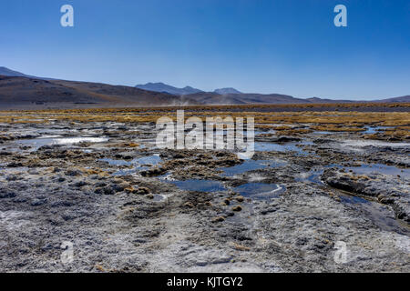 Foto im August 2017 im Altiplano Bolivien, Südamerika: rosa Flamingos an der Laguna Colorada Altiplano Bolivien genommen Stockfoto