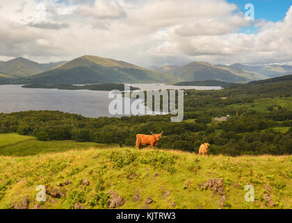 Loch Lomond - Ansicht von Conic Hill - Schottland, Großbritannien Stockfoto