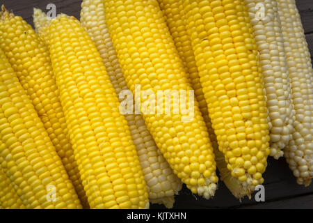 Frische Maiskolben, gelbe und weiße bereit zu Kochen. Stockfoto