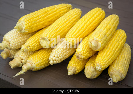 Frische Maiskolben, gelbe und weiße bereit zu Kochen. Stockfoto