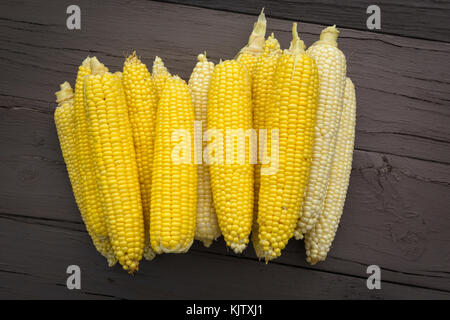 Frische Maiskolben, gelbe und weiße bereit zu Kochen. Stockfoto