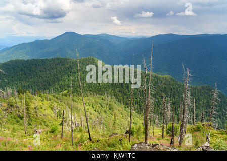 Blick von oben auf Kokuya Berg. Republik Altai. Sibirien. Russland Stockfoto