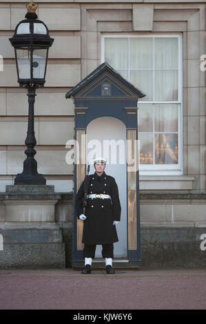 Buckingham Palace, London, Großbritannien. 26. November 2017. In einer historischen Premiere bildet die Royal Navy die Queen’s Guard am Buckingham Palace mit musikalischer Unterstützung von Band of HM Royal Marines Scotland und Band of the Irish Guards, Zum ersten Mal seit 357 Jahren wurde die Zeremonie nicht von den Fußschutzregimenten der Household Division der Army‘durchgeführt. Quelle: Malcolm Park/Alamy Live News. Stockfoto