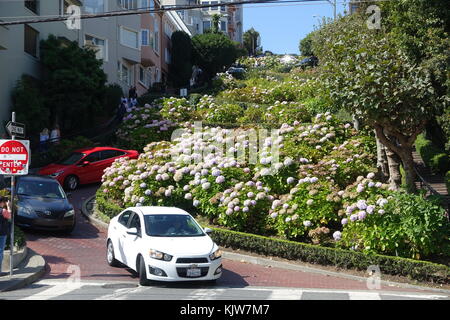 Kalifornien, USA. 15. September 2017. Autos fahren entlang der kurvenreichen Lombard Street in San Francisco in Kalifornien, USA, 15. September 2017. Die Lombard Street in San Francisco ist eine der wichtigsten Verkehrsstraßen der Stadt. Der kuvy Abschnitt befindet sich auf dem Russian Hill und ist über einen Block von der Hyde Street zur Leavenworth Street entfernt. Zu diesem Zeitpunkt war sie mit einem Gefälle von 27 Prozent eine der steilsten Straßen der Stadt. Quelle: Alexandra Schuler/dpa/Alamy Live News Stockfoto