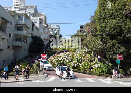 Kalifornien, USA. 15. September 2017. Autos fahren entlang der kurvenreichen Lombard Street in San Francisco in Kalifornien, USA, 15. September 2017. Die Lombard Street in San Francisco ist eine der wichtigsten Verkehrsstraßen der Stadt. Der kuvy Abschnitt befindet sich auf dem Russian Hill und ist über einen Block von der Hyde Street zur Leavenworth Street entfernt. Zu diesem Zeitpunkt war sie mit einem Gefälle von 27 Prozent eine der steilsten Straßen der Stadt. Quelle: Alexandra Schuler/dpa/Alamy Live News Stockfoto