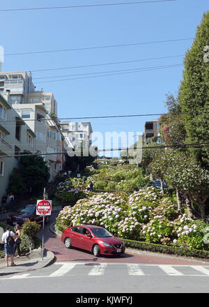 Kalifornien, USA. 15. September 2017. Autos fahren entlang der kurvenreichen Lombard Street in San Francisco in Kalifornien, USA, 15. September 2017. Die Lombard Street in San Francisco ist eine der wichtigsten Verkehrsstraßen der Stadt. Der kuvy Abschnitt befindet sich auf dem Russian Hill und ist über einen Block von der Hyde Street zur Leavenworth Street entfernt. Zu diesem Zeitpunkt war sie mit einem Gefälle von 27 Prozent eine der steilsten Straßen der Stadt. Quelle: Alexandra Schuler/dpa/Alamy Live News Stockfoto