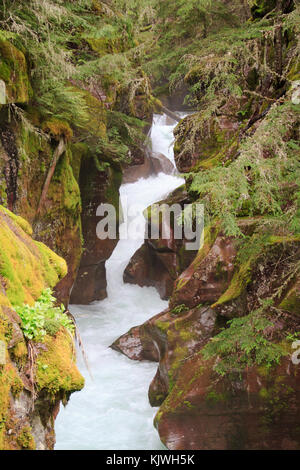 Eiszeit in der Lawine Schlucht im Frühjahr schmelzen (Glacier National Park, Montana, USA) Stockfoto