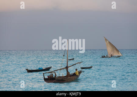 Nungwe, Sansibar, Tansania; die Fischer ihren Fang einbringen. Stockfoto