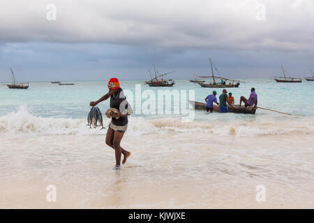 Nungwe, Sansibar, Tansania; die Fischer ihren Fang einbringen. Stockfoto