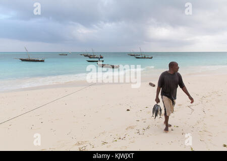 Nungwe, Sansibar, Tansania; die Fischer ihren Fang einbringen. Stockfoto