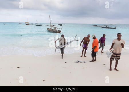 Nungwe, Sansibar, Tansania; Fischer trägt eine wertvolle Fächerfisch gefangen hat er nur auf dem lokalen Markt zu verkaufen. Stockfoto
