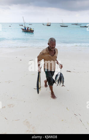 Nungwe, Sansibar, Tansania; die Fischer ihren Fang einbringen. Stockfoto