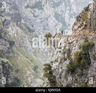 Wandern in der Cares Schlucht eine Tiefe und dramatische Schlucht laufen durch die Picos de Europa" im Norden Spaniens Stockfoto