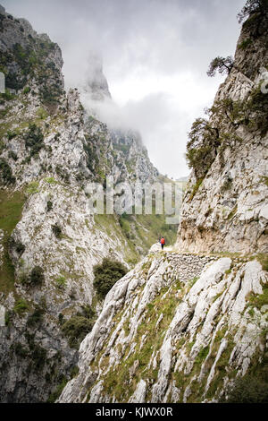 Wandern in der Cares Schlucht eine Tiefe und dramatische Schlucht laufen durch die Picos de Europa" im Norden Spaniens Stockfoto