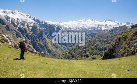 Blick auf die zerklüfteten Collau los Buitres von der Alp Pandescura in die Picos de Europa Berge im Norden Spaniens in der Nähe von Bobia Stockfoto