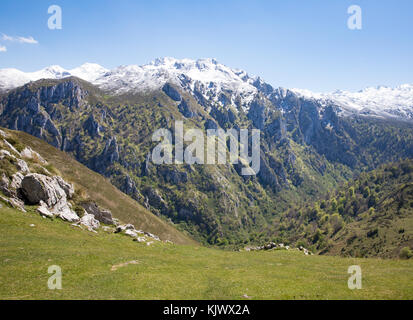 Blick auf die zerklüfteten Collau los Buitres von der Alp Pandescura in die Picos de Europa Berge im Norden Spaniens in der Nähe von Bobia Stockfoto