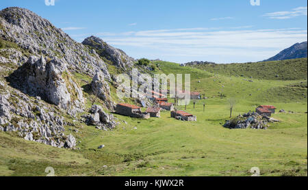 Schüssel mit grünen Weiden mit cabanas Shepherd bei Belbin in der Nähe von Covadonga Seen in den Picos de Europa nördlichen Spanien Stockfoto