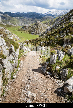 Titel absteigend in die Vorberge der Picos de Europa in der Nähe von Bobia und die Covadonga Seen im Norden Spaniens Stockfoto