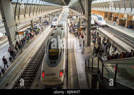 RENFE AVE Hochgeschwindigkeitszüge, Bahnhof Santa Justa, Sevilla, Andalusien, Spanien Stockfoto