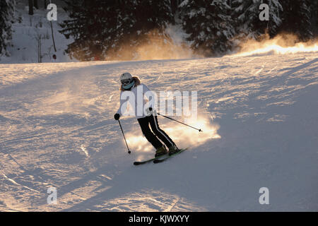 Skifahrer in weißen Overalls mit weißen Helm auf sein Haupt und Fahrten die Hänge hinunter. die Skipiste auf einem Hügel, Bäume mit Schnee bedeckt in einem goldenen sunse gebadet Stockfoto