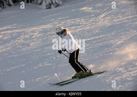 Skifahrer in weißen Overalls mit weißen Helm auf sein Haupt und Fahrten die Hänge hinunter. die Skipiste auf einem Hügel, Bäume mit Schnee bedeckt in einem goldenen sunse gebadet Stockfoto