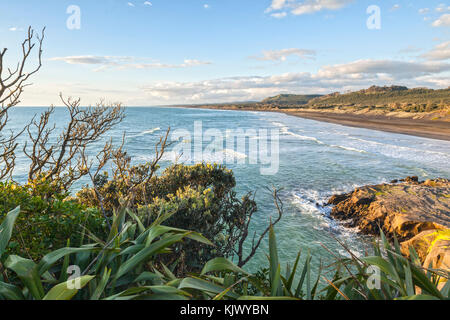 Muriwai Beach, Region Auckland, Neuseeland. Stockfoto