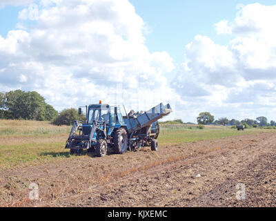 Nica, Lettland - 29, 2015 August: auf dem Feld arbeitet der Traktor eine Furche Kartoffelroder mit Strom versorgt. Stockfoto