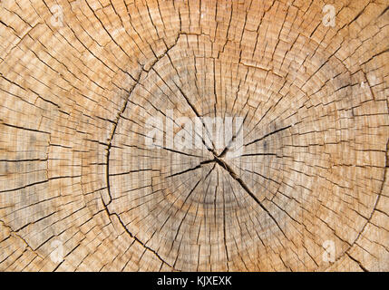 Braunes Holz Oberfläche zerkratzt Holz Holz schneiden Schneiden, Holz Textur. Stockfoto
